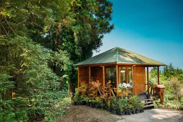 She Sheds or Man Caves. Get more info about these backyard retreats.