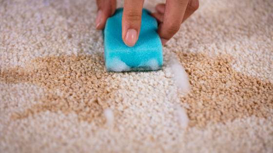 Carpet stains can seem hopeless, but with some simple tricks, you can restore your carpets and erase those pesky stains.